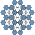 Figure 4: the Flower of Life.