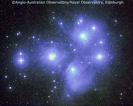 Telescopic photograph of the Pleiades - UK Scchmidt series: copyright AAO/ROE