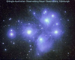 The Pleiades - copyright AAO/ROE