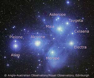 Named stars in The Pleiades - copyright AAO/ROE